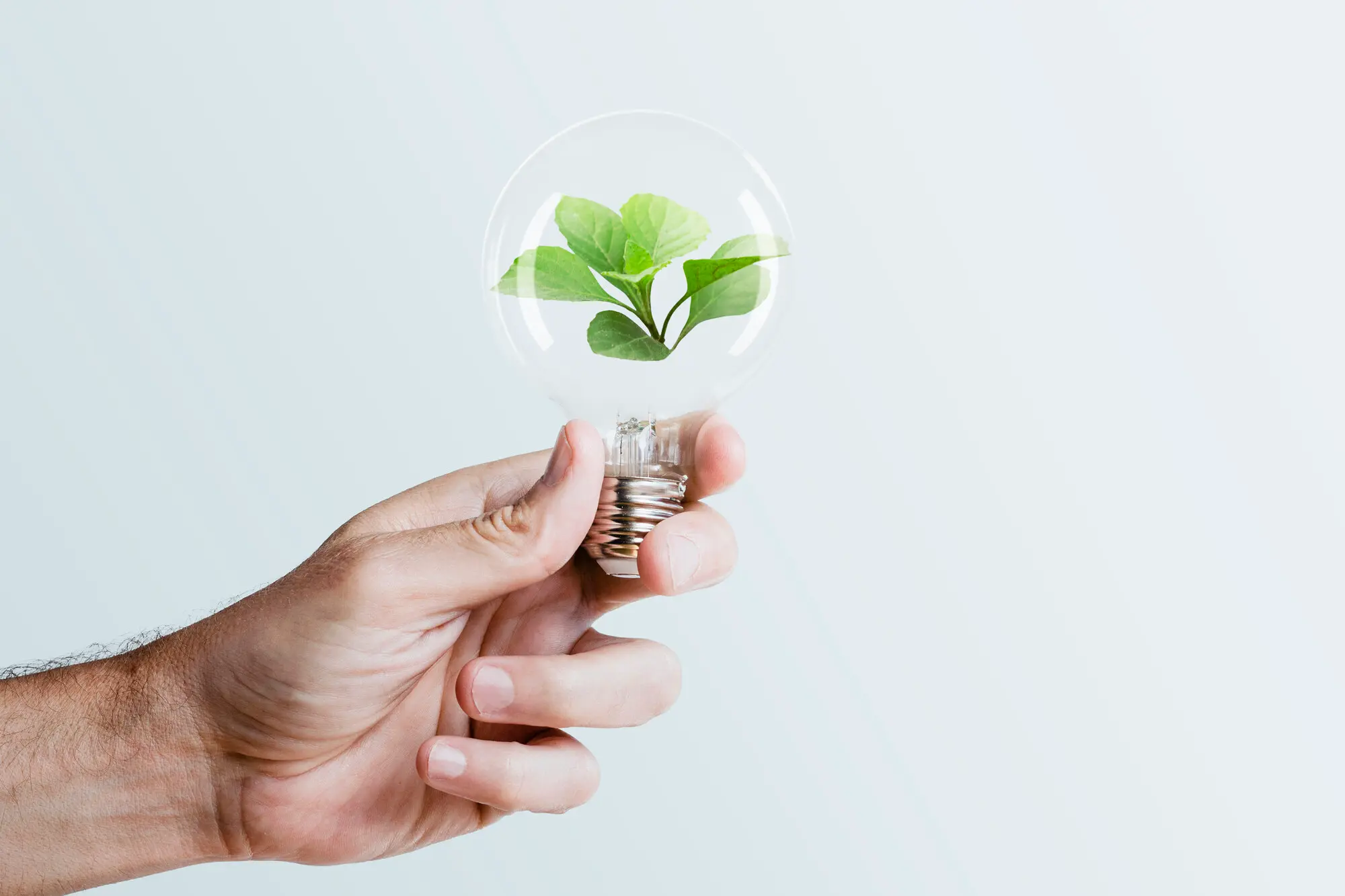 Descubra os benefícios da energia solar para a gestão de energia e eficiência energética