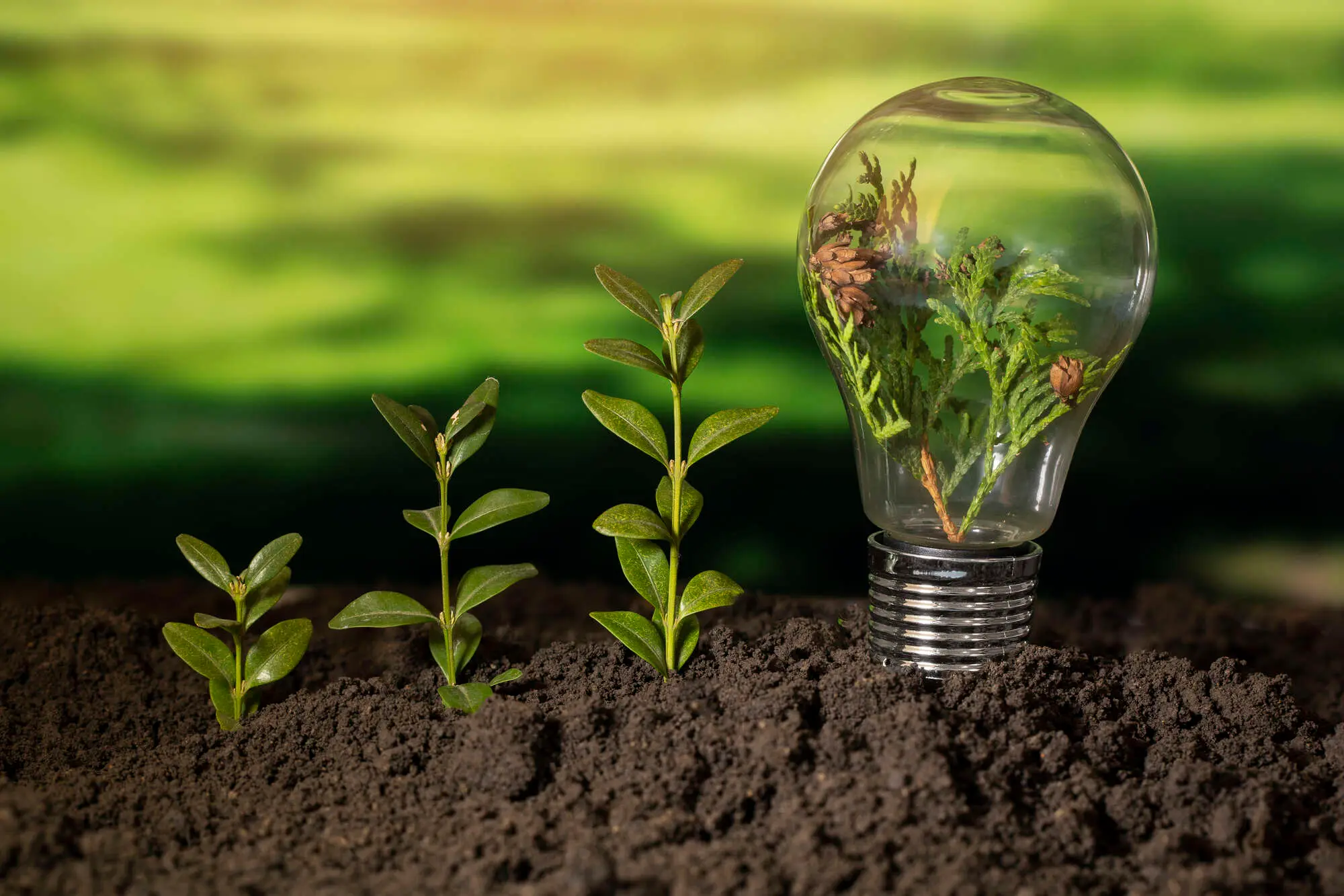 Descubra os benefícios da energia solar para empresas